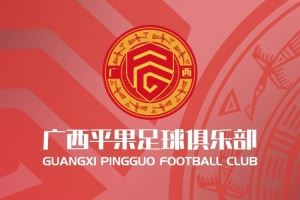 广西平果足球俱乐部致谢每一份关爱与祝福！